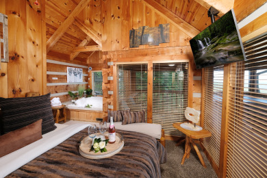  Ad# 22353 lake house for rent on LakeHouseVacations.com, lakehouse, lake home rental, lakehome for rent, vacation, holiday, lodging, lake