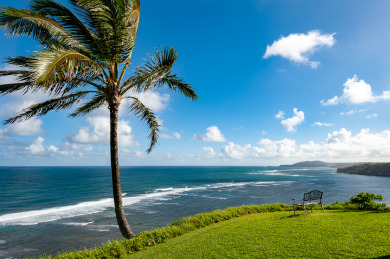 Lake House The BEST oceanfront view from updated romantic Hawaiian gem, , on Kauai - Princeville in Hawaii - Lakehouse Vacation Rental - Lake Home for rent on LakeHouseVacations.com
