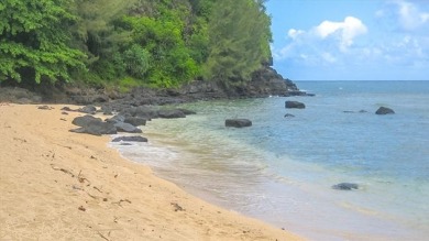 Lake House Cute and Cozy Couples Retreat w Private Lanai, Mountain and Ocean Views, AC, , on Kauai - Princeville in Hawaii - Lakehouse Vacation Rental - Lake Home for rent on LakeHouseVacations.com