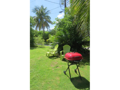 Lake House Orchid Cottage - Colorful Bahamian Cottage Steps from Pink Sand Beach, , on  in Governor's Harbour - Lakehouse Vacation Rental - Lake Home for rent on LakeHouseVacations.com