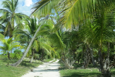 Lake House Orchid Cottage - Colorful Bahamian Cottage Steps from Pink Sand Beach, , on  in Governor's Harbour - Lakehouse Vacation Rental - Lake Home for rent on LakeHouseVacations.com
