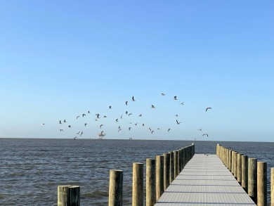Lake House Splash into summer at Family Waves-Pool and steps away from the beach-s, , on Gulf of Mexico - Gulf Shores in Alabama - Lakehouse Vacation Rental - Lake Home for rent on LakeHouseVacations.com