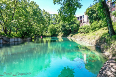Lake House Across from Schlitterbahn! Walk to Downtown New Braunfels!, , on Comal River - New Braunfels in Texas - Lakehouse Vacation Rental - Lake Home for rent on LakeHouseVacations.com
