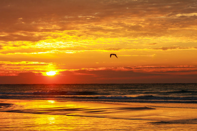 Lake House Tidewater 1018 Gulf Front! Discounted Monthly Rates JanFeb 2024! , , on Gulf of Mexico - Panama City Beach in Florida - Lakehouse Vacation Rental - Lake Home for rent on LakeHouseVacations.com