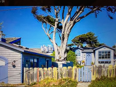 Lake House Fishermans Cottage-Magical Irish Fishing Cottage in Bodega Bay!Walk to Beach!, , on Pacific Ocean - Bodega Bay in California - Lakehouse Vacation Rental - Lake Home for rent on LakeHouseVacations.com