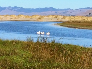 Lake House Fishermans Cottage-Magical Irish Fishing Cottage in Bodega Bay!Walk to Beach!, , on Pacific Ocean - Bodega Bay in California - Lakehouse Vacation Rental - Lake Home for rent on LakeHouseVacations.com