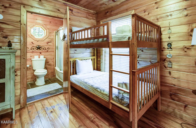 Lake House Jackson's Starry Nite Sky Reach for the Stars in the Smokies!, , on Douglas Lake in Tennessee - Lakehouse Vacation Rental - Lake Home for rent on LakeHouseVacations.com
