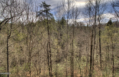 Lake House Jackson's Starry Nite Sky Reach for the Stars in the Smokies!, , on Douglas Lake in Tennessee - Lakehouse Vacation Rental - Lake Home for rent on LakeHouseVacations.com