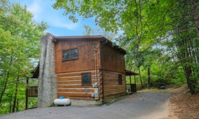 Lake House Paradise Your Smoky Mountain Slice of Heaven, Just Minutes from Gatlinburg!, , on West Prong Little Pigeon River - Gatlinburg in Tennessee - Lakehouse Vacation Rental - Lake Home for rent on LakeHouseVacations.com