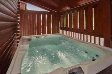 Lake House Beary Relaxing Your Paw-fect Pigeon Forge Getaway!, , on West Prong Little Pigeon River in Tennessee - Lakehouse Vacation Rental - Lake Home for rent on LakeHouseVacations.com