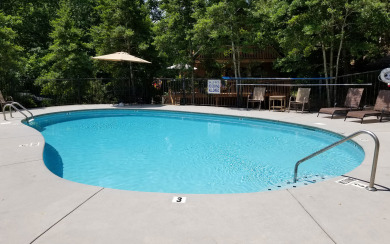 Lake House Feathers and Fur The Paw-fect Pigeon Forge Perch for Your Crew!, , on West Prong Little Pigeon River in Tennessee - Lakehouse Vacation Rental - Lake Home for rent on LakeHouseVacations.com