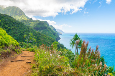 Lake House Kauai charm at affordable upstairs studio, walk to everything, , on Kauai - Princeville in Hawaii - Lakehouse Vacation Rental - Lake Home for rent on LakeHouseVacations.com