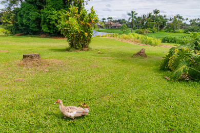 Lake House LOOK! Studio Condo in Downtown Hilo Lagoon Views, Pool, AC, , on Big Island - Hilo in Hawaii - Lakehouse Vacation Rental - Lake Home for rent on LakeHouseVacations.com