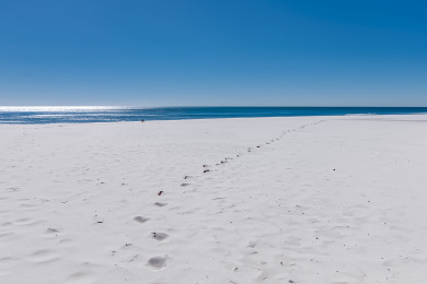 Lake House NEW RENTAL - Updated Beach Front - Seawind 703 - Signature Properties, , on Gulf of Mexico - Gulf Shores in Alabama - Lakehouse Vacation Rental - Lake Home for rent on LakeHouseVacations.com