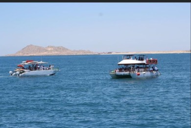  Ad# 22986 lake house for rent on LakeHouseVacations.com, lakehouse, lake home rental, lakehome for rent, vacation, holiday, lodging, lake