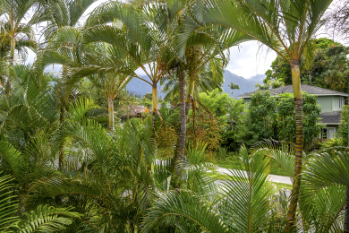 Lake House Cute Lofted Studio w Full Kitchen - Easy Access to BeachesShoppingDining, , on Kauai - Princeville in Hawaii - Lakehouse Vacation Rental - Lake Home for rent on LakeHouseVacations.com