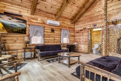 Lake House A Playful Bears Cabin Get Ready for a Beary Good Time in the Smokies!, , on Douglas Lake in Tennessee - Lakehouse Vacation Rental - Lake Home for rent on LakeHouseVacations.com