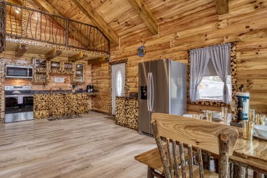Lake House A Playful Bears Cabin Get Ready for a Beary Good Time in the Smokies!, , on Douglas Lake in Tennessee - Lakehouse Vacation Rental - Lake Home for rent on LakeHouseVacations.com