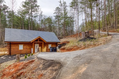 Lake House A Playful Bears Cabin Get Ready for a Beary Good Time in the Smokies!, , on Douglas Lake in Tennessee - Lakehouse Vacation Rental - Lake Home for rent on LakeHouseVacations.com