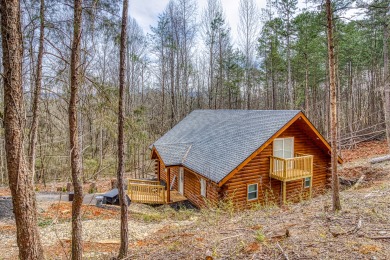 Lake House A Playful Bears Cabin Get Ready for a Beary Good Time in the Smokies!, , on Douglas Lake in Tennessee - Lakehouse Vacation Rental - Lake Home for rent on LakeHouseVacations.com