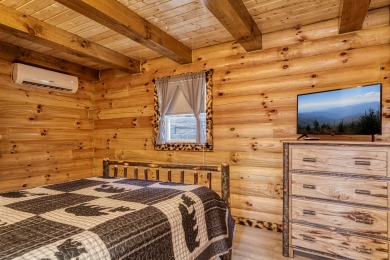 Lake House A Playful Bears Cabin Get Ready for a Beary Good Time in the Smokies!, , on Douglas Lake in Tennessee - Lakehouse Vacation Rental - Lake Home for rent on LakeHouseVacations.com