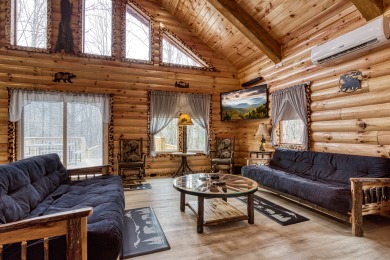 Lake House A Playful Bears Cabin Get Ready for a Beary Good Time in the Smokies!, , on Douglas Lake in Tennessee - Lakehouse Vacation Rental - Lake Home for rent on LakeHouseVacations.com