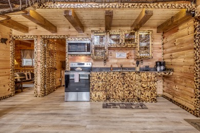 Lake House A Playful Bears Cabin Get Ready for a Beary Good Time in the Smokies!, , on Douglas Lake in Tennessee - Lakehouse Vacation Rental - Lake Home for rent on LakeHouseVacations.com