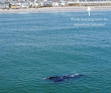 Lake House Ocean Devotion Oceanfront Views! , , on Atlantic Ocean - Surf City in North Carolina - Lakehouse Vacation Rental - Lake Home for rent on LakeHouseVacations.com