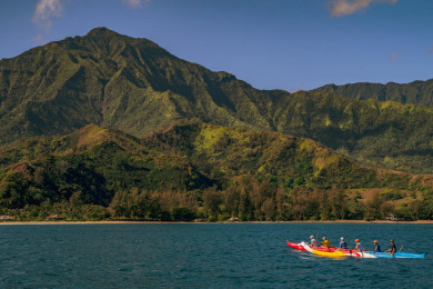 Lake House Happy Place Bungalow, 2-Minutes to the Beach! TVNC #4339, , on Kauai - Hanalei in Hawaii - Lakehouse Vacation Rental - Lake Home for rent on LakeHouseVacations.com