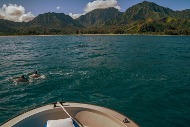 Lake House Happy Place Bungalow, 2-Minutes to the Beach! TVNC #4339, , on Kauai - Hanalei in Hawaii - Lakehouse Vacation Rental - Lake Home for rent on LakeHouseVacations.com