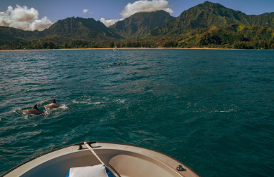 Lake House One Hanalei, Luxury Home, walk to the bay! TVNC #1168, , on Kauai - Hanalei in Hawaii - Lakehouse Vacation Rental - Lake Home for rent on LakeHouseVacations.com