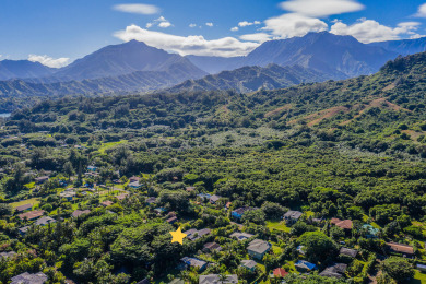 Lake House Hale Koolau Treehouse, Charming Getaway TVR #1018, , on  in Hawaii - Lakehouse Vacation Rental - Lake Home for rent on LakeHouseVacations.com