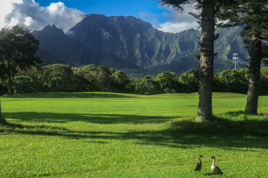 Lake House Emmalani Oasis - Luxe Designer Home with stunning Mountain Views, , on Kauai - Princeville in Hawaii - Lakehouse Vacation Rental - Lake Home for rent on LakeHouseVacations.com