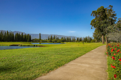 Lake House Laule'a 'Ohana Hale - Luxurious 'Ohana home with AC, , on Kauai - Princeville in Hawaii - Lakehouse Vacation Rental - Lake Home for rent on LakeHouseVacations.com