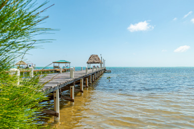 Lake House Luxury Oasis Serene Beachfront with Pool & Dock, , on  in Belize District - Lakehouse Vacation Rental - Lake Home for rent on LakeHouseVacations.com