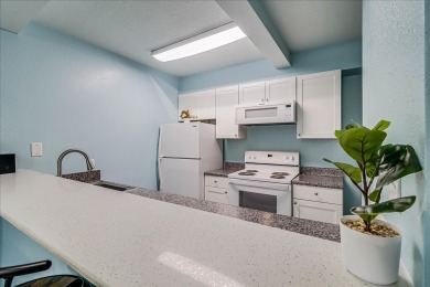 Lake House Beachfront Hotel! Great Views, Pool, Golf Cart accessible, Located In Town!, , on Gulf of Mexico - Port Aransas in Texas - Lakehouse Vacation Rental - Lake Home for rent on LakeHouseVacations.com