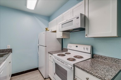 Lake House Beachfront Hotel! Great Views, Pool, Golf Cart accessible, Located In Town!, , on Gulf of Mexico - Port Aransas in Texas - Lakehouse Vacation Rental - Lake Home for rent on LakeHouseVacations.com