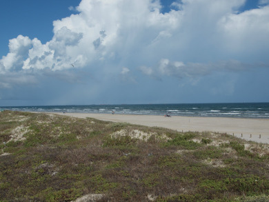 Lake House Beautiful pet friendly condo, just a short walk to the beach. Community pool!, , on Gulf of Mexico - Port Aransas in Texas - Lakehouse Vacation Rental - Lake Home for rent on LakeHouseVacations.com