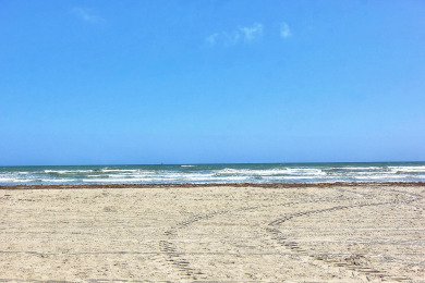 Lake House Moon Song is walking distance to Marina, Shops, just minutes from the Beach., , on Gulf of Mexico - Port Aransas in Texas - Lakehouse Vacation Rental - Lake Home for rent on LakeHouseVacations.com