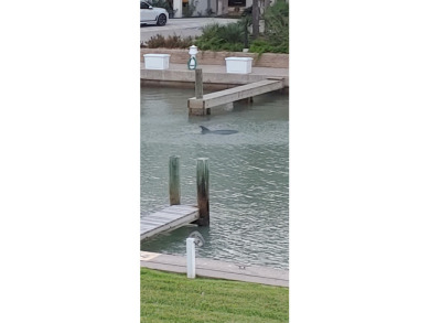 Lake House Quiet and cozy condo with a large community pool, fishing pier, boat parking , , on Gulf of Mexico - Port Aransas in Texas - Lakehouse Vacation Rental - Lake Home for rent on LakeHouseVacations.com