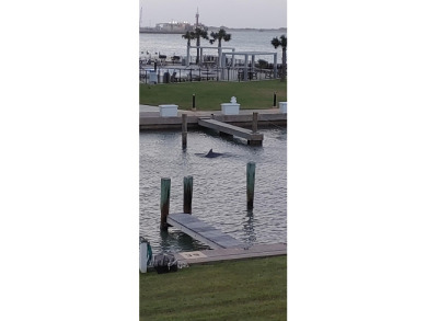 Lake House Quiet and cozy condo with a large community pool, fishing pier, boat parking , , on Gulf of Mexico - Port Aransas in Texas - Lakehouse Vacation Rental - Lake Home for rent on LakeHouseVacations.com