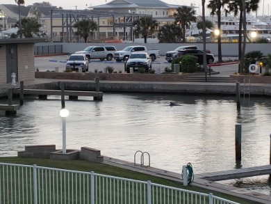 Lake House Quiet and cozy condo with a large community pool, fishing pier, boat parking , , on Gulf of Mexico - Port Aransas in Texas - Lakehouse Vacation Rental - Lake Home for rent on LakeHouseVacations.com