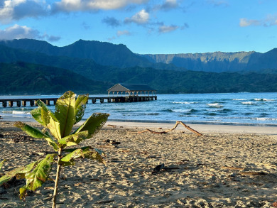 Lake House Hale Honu 5B - Newly renovated! Close to Hanalei!, , on Kauai - Princeville in Hawaii - Lakehouse Vacation Rental - Lake Home for rent on LakeHouseVacations.com