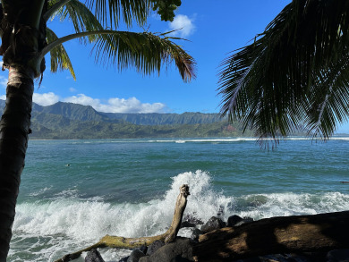 Lake House Hale Honu 5B - Newly renovated! Close to Hanalei!, , on Kauai - Princeville in Hawaii - Lakehouse Vacation Rental - Lake Home for rent on LakeHouseVacations.com