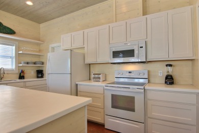 Lake House Fabulous home! Walk to the beach! Palapa! Community Pool! In town!, , on Gulf of Mexico - Port Aransas in Texas - Lakehouse Vacation Rental - Lake Home for rent on LakeHouseVacations.com