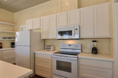 Lake House Fabulous home! Walk to the beach! Palapa! Community Pool! In town!, , on Gulf of Mexico - Port Aransas in Texas - Lakehouse Vacation Rental - Lake Home for rent on LakeHouseVacations.com