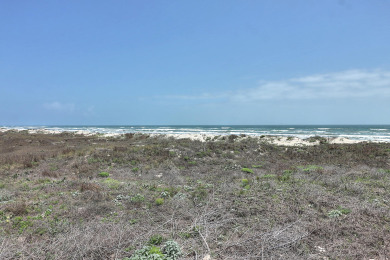 Lake House Beachfront home with incredible views! Heated Community Pool!, , on Gulf of Mexico - Port Aransas in Texas - Lakehouse Vacation Rental - Lake Home for rent on LakeHouseVacations.com