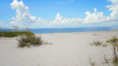 Lake House Updated House - Steps From the Beach - Fort Morgan - Signature Properties, , on Gulf of Mexico - Fort Morgan in Alabama - Lakehouse Vacation Rental - Lake Home for rent on LakeHouseVacations.com