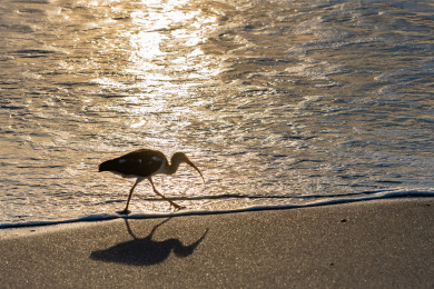 Lake House Off Season Pricing-2 blocks from beach and downtown, , on Atlantic Ocean - Cocoa Beach in Florida - Lakehouse Vacation Rental - Lake Home for rent on LakeHouseVacations.com