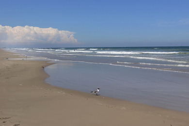 Lake House Cozy duplex near many Port A restaurants & night life, , on Gulf of Mexico - Port Aransas in Texas - Lakehouse Vacation Rental - Lake Home for rent on LakeHouseVacations.com